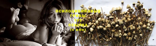 ECSTASY Киреевск