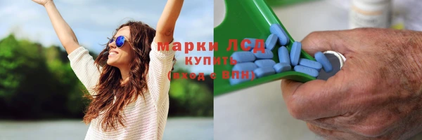 гидра Киренск