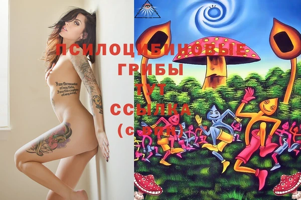 первитин Кинешма