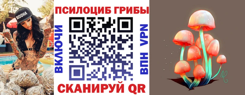 Псилоцибиновые грибы ЛСД  Щёлково 